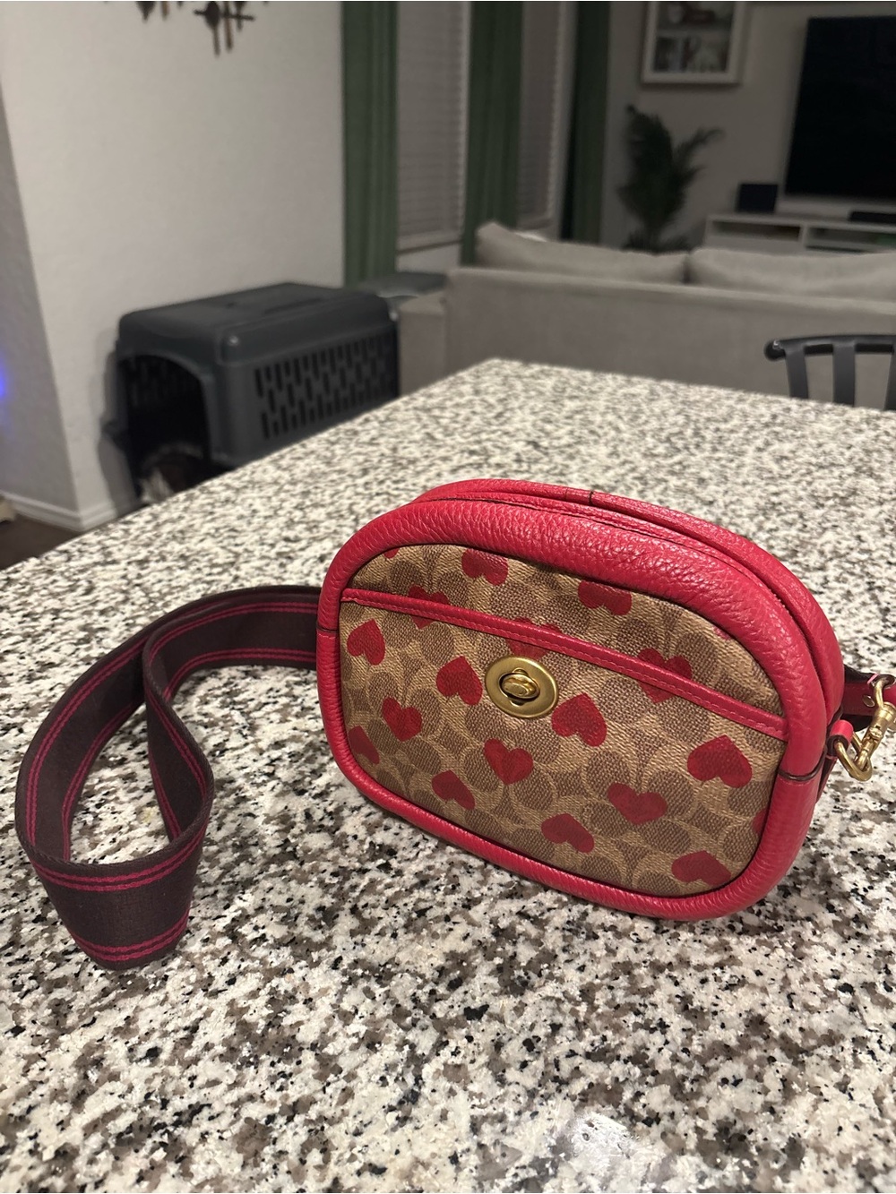 COACH Camera Heart Bag | Red and Brown | Medium